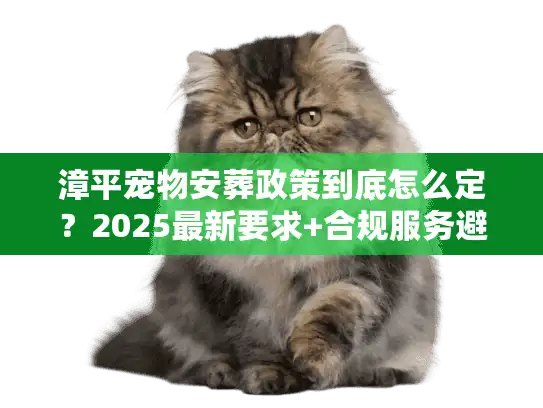 漳平宠物安葬政策到底怎么定？2025最新要求+合规服务避坑指南