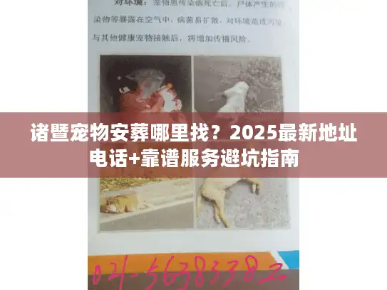 诸暨宠物安葬哪里找？2025最新地址电话+靠谱服务避坑指南
