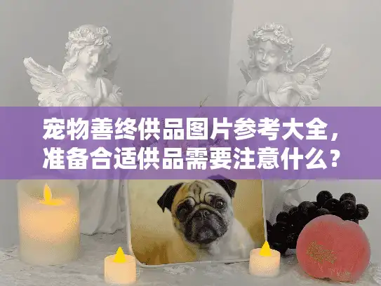 宠物善终供品图片参考大全，准备合适供品需要注意什么？