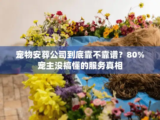 宠物安葬公司到底靠不靠谱？80%宠主没搞懂的服务真相