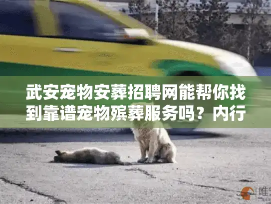 武安宠物安葬招聘网能帮你找到靠谱宠物殡葬服务吗？内行人透露3个隐藏门道