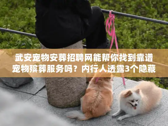 武安宠物安葬招聘网能帮你找到靠谱宠物殡葬服务吗？内行人透露3个隐藏门道