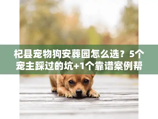 杞县宠物狗安葬园怎么选？5个宠主踩过的坑+1个靠谱案例帮你避雷