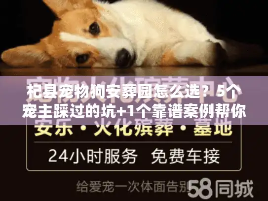 杞县宠物狗安葬园怎么选？5个宠主踩过的坑+1个靠谱案例帮你避雷