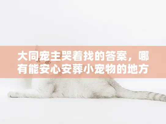 大同宠主哭着找的答案，哪有能安心安葬小宠物的地方？我用3次踩坑换来了清单