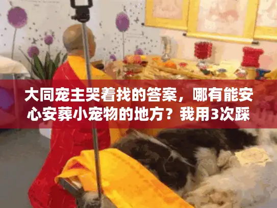 大同宠主哭着找的答案，哪有能安心安葬小宠物的地方？我用3次踩坑换来了清单