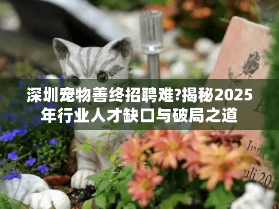 深圳宠物善终招聘难?揭秘2025年行业人才缺口与破局之道