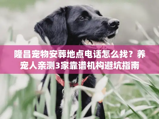 隆昌宠物安葬地点电话怎么找？养宠人亲测3家靠谱机构避坑指南