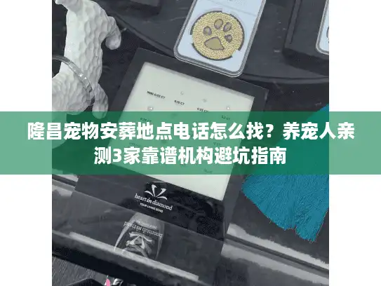 隆昌宠物安葬地点电话怎么找？养宠人亲测3家靠谱机构避坑指南