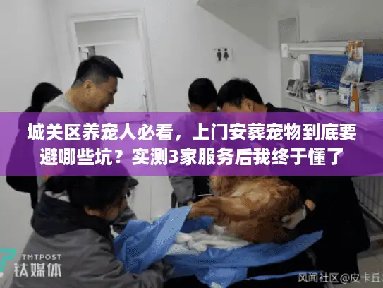城关区养宠人必看，上门安葬宠物到底要避哪些坑？实测3家服务后我终于懂了