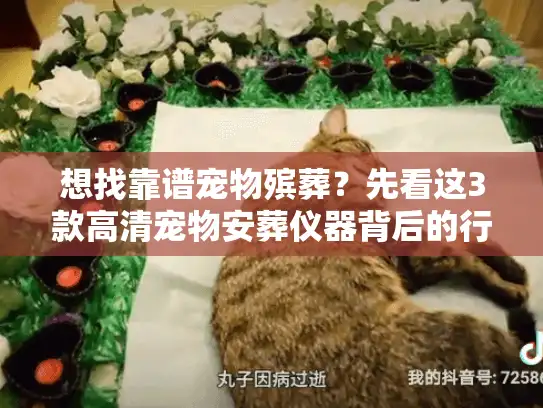 想找靠谱宠物殡葬？先看这3款高清宠物安葬仪器背后的行业真相