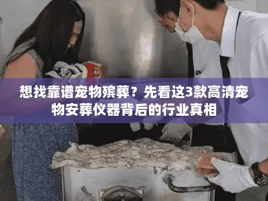 想找靠谱宠物殡葬？先看这3款高清宠物安葬仪器背后的行业真相