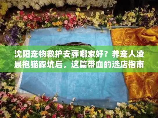 沈阳宠物救护安葬哪家好？养宠人凌晨抱猫踩坑后，这篇带血的选店指南太戳心