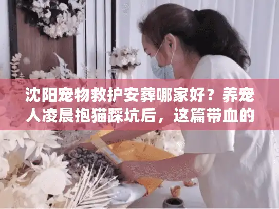 沈阳宠物救护安葬哪家好？养宠人凌晨抱猫踩坑后，这篇带血的选店指南太戳心