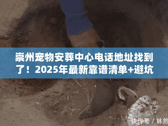 崇州宠物安葬中心电话地址找到了！2025年最新靠谱清单+避坑指南