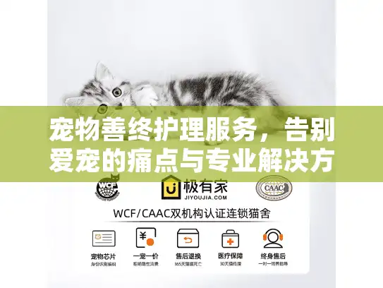 宠物善终护理服务，告别爱宠的痛点与专业解决方案