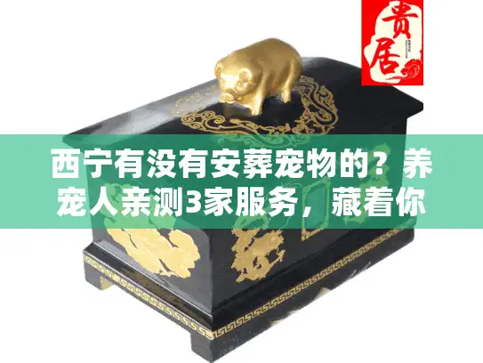 西宁有没有安葬宠物的？养宠人亲测3家服务，藏着你不知道的行业门道