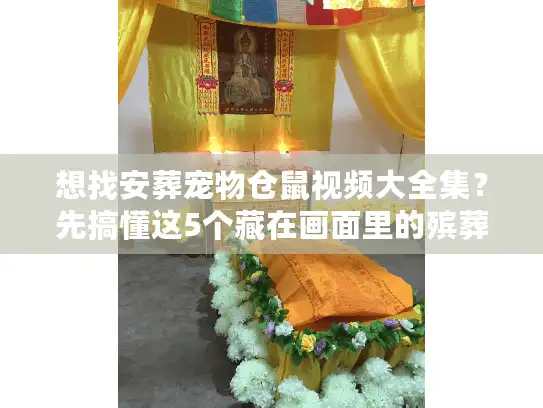 想找安葬宠物仓鼠视频大全集？先搞懂这5个藏在画面里的殡葬服务真相