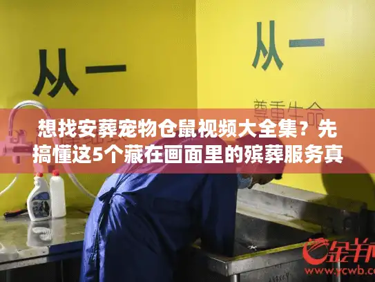 想找安葬宠物仓鼠视频大全集？先搞懂这5个藏在画面里的殡葬服务真相