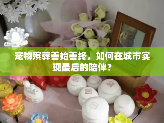 宠物殡葬善始善终，如何在城市实现最后的陪伴？