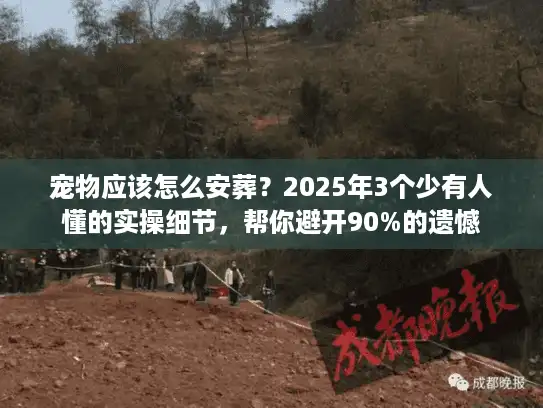 宠物应该怎么安葬？2025年3个少有人懂的实操细节，帮你避开90%的遗憾
