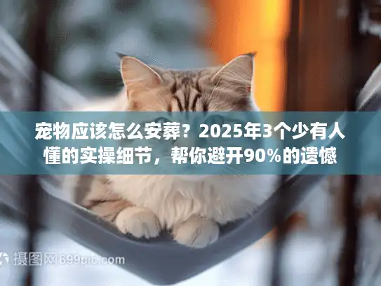 宠物应该怎么安葬？2025年3个少有人懂的实操细节，帮你避开90%的遗憾