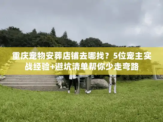 重庆宠物安葬店铺去哪找？5位宠主实战经验+避坑清单帮你少走弯路