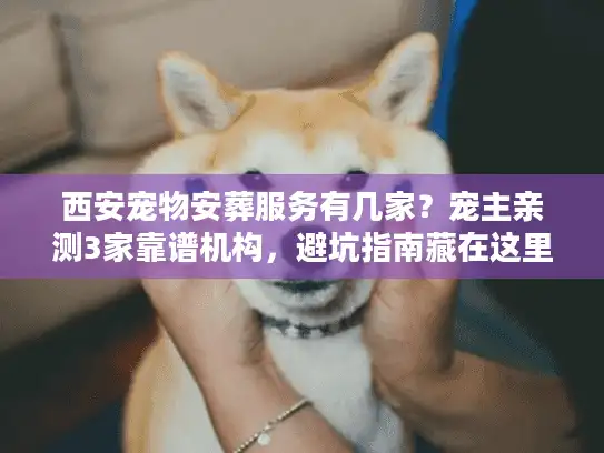 西安宠物安葬服务有几家？宠主亲测3家靠谱机构，避坑指南藏在这里