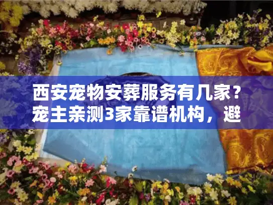 西安宠物安葬服务有几家？宠主亲测3家靠谱机构，避坑指南藏在这里