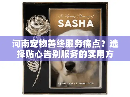 河南宠物善终服务痛点？选择贴心告别服务的实用方案！