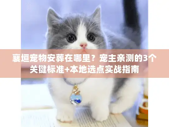 襄垣宠物安葬在哪里？宠主亲测的3个关键标准+本地选点实战指南