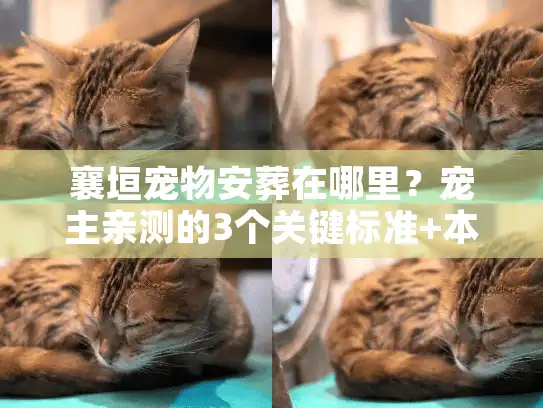 襄垣宠物安葬在哪里？宠主亲测的3个关键标准+本地选点实战指南