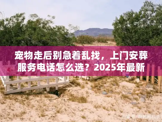 宠物走后别急着乱找，上门安葬服务电话怎么选？2025年最新避坑指南