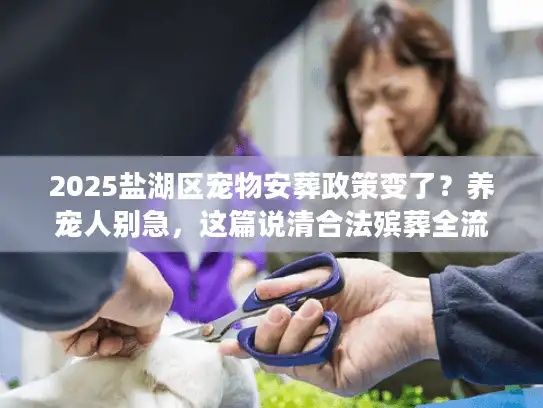 2025盐湖区宠物安葬政策变了？养宠人别急，这篇说清合法殡葬全流程