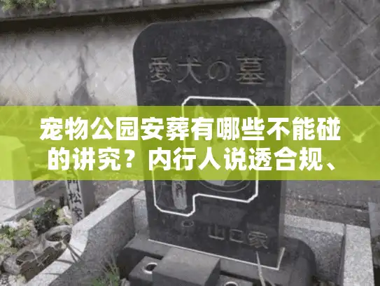 宠物公园安葬有哪些不能碰的讲究？内行人说透合规、安心的3大核心要点