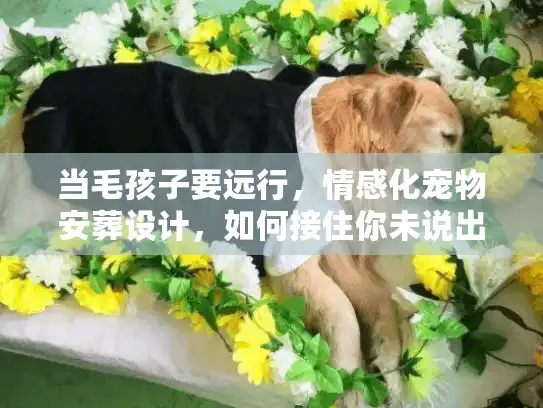 当毛孩子要远行，情感化宠物安葬设计，如何接住你未说出口的痛？