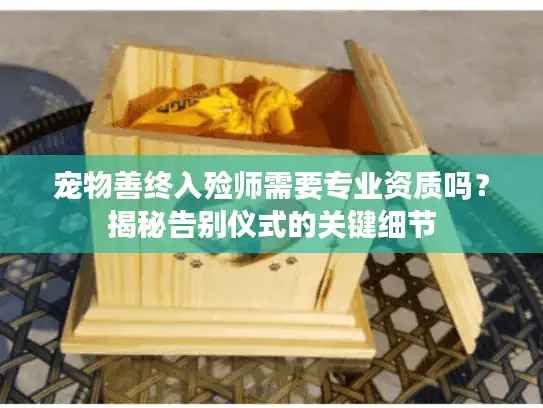 宠物善终入殓师需要专业资质吗？揭秘告别仪式的关键细节