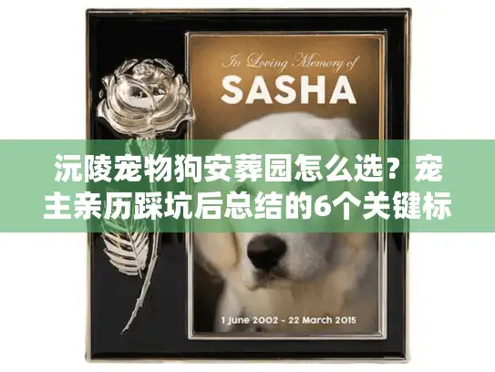 沅陵宠物狗安葬园怎么选？宠主亲历踩坑后总结的6个关键标准