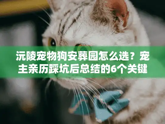 沅陵宠物狗安葬园怎么选？宠主亲历踩坑后总结的6个关键标准