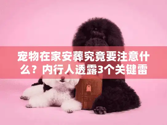 宠物在家安葬究竟要注意什么？内行人透露3个关键雷区和合法操作指南
