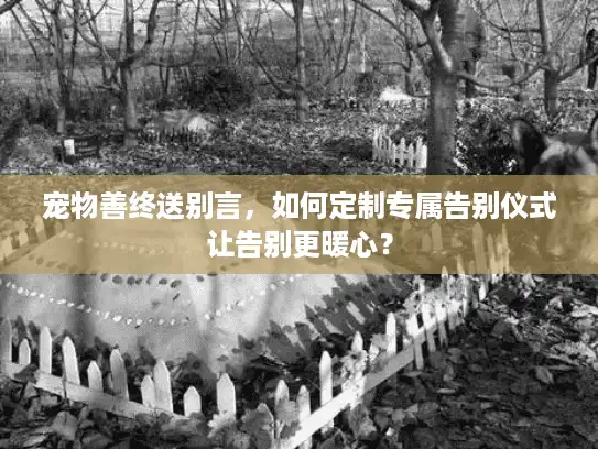 宠物善终送别言，如何定制专属告别仪式让告别更暖心？