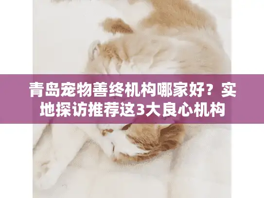 青岛宠物善终机构哪家好？实地探访推荐这3大良心机构