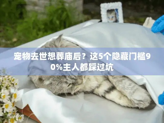 宠物去世想葬庙后？这5个隐藏门槛90%主人都踩过坑
