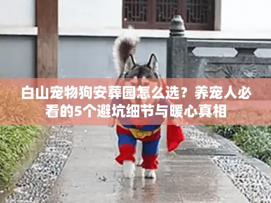白山宠物狗安葬园怎么选？养宠人必看的5个避坑细节与暖心真相