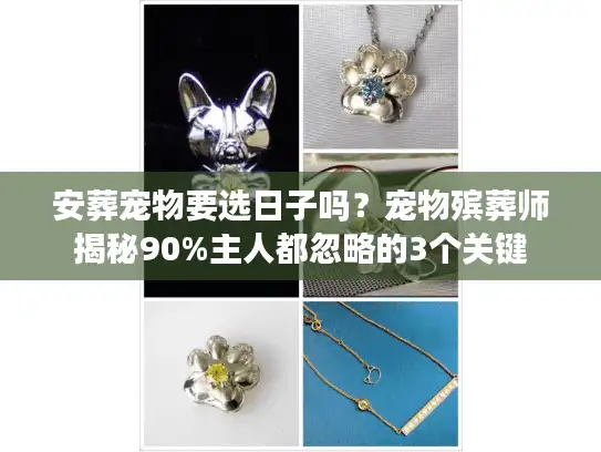 安葬宠物要选日子吗？宠物殡葬师揭秘90%主人都忽略的3个关键