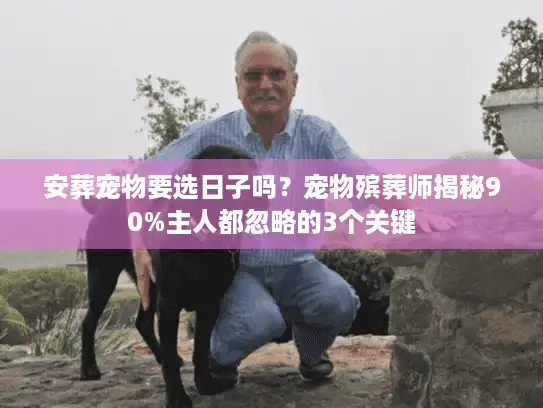 安葬宠物要选日子吗？宠物殡葬师揭秘90%主人都忽略的3个关键