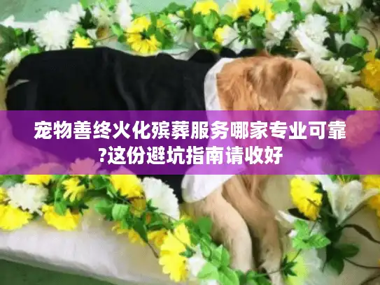 宠物善终火化殡葬服务哪家专业可靠?这份避坑指南请收好