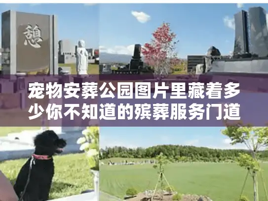 宠物安葬公园图片里藏着多少你不知道的殡葬服务门道？