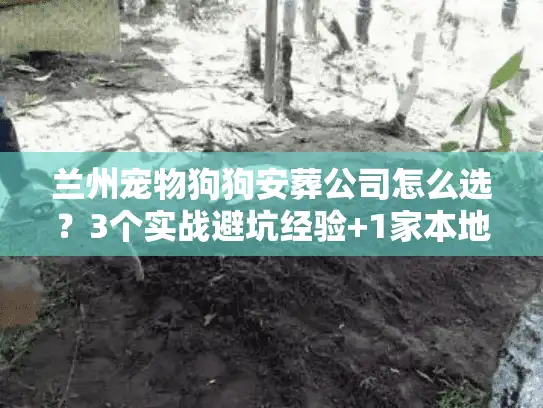 兰州宠物狗狗安葬公司怎么选？3个实战避坑经验+1家本地靠谱机构实测