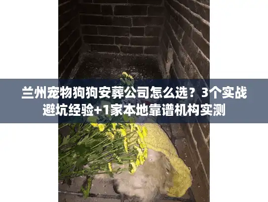 兰州宠物狗狗安葬公司怎么选？3个实战避坑经验+1家本地靠谱机构实测